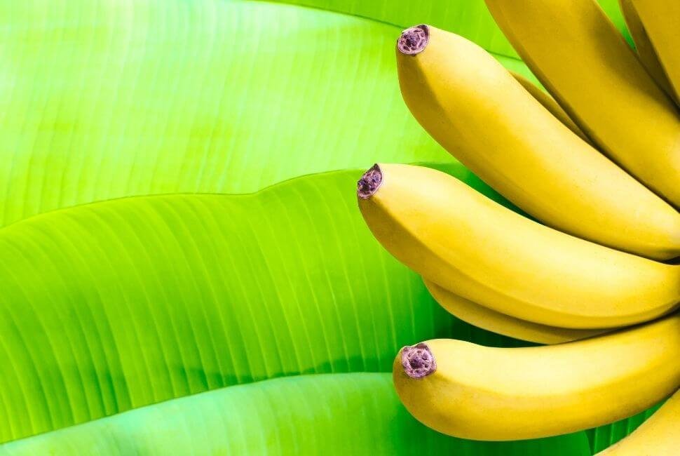 banane-et-acide-urique