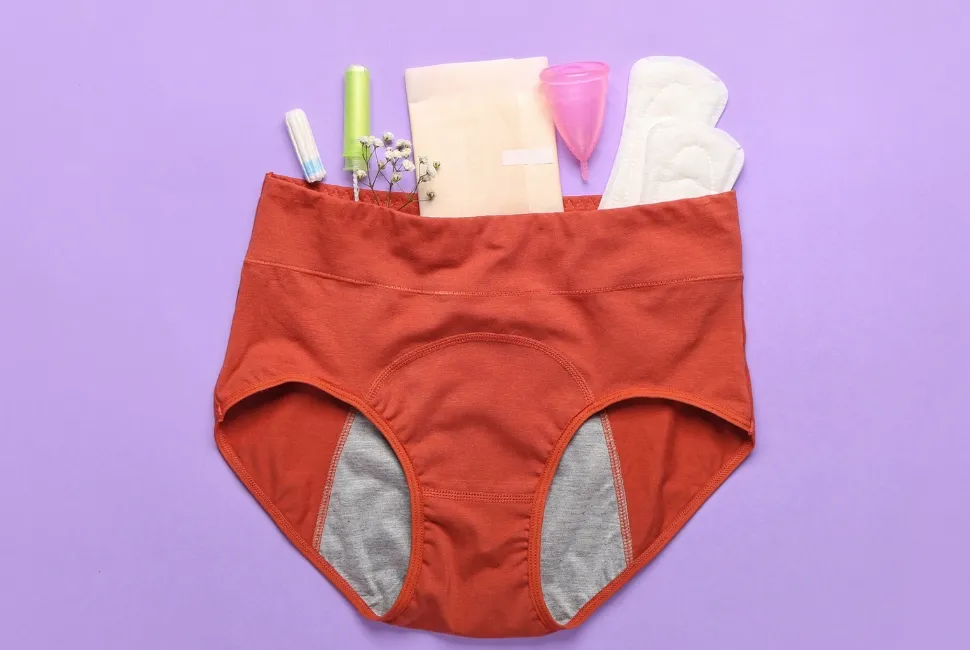 culotte menstruelle