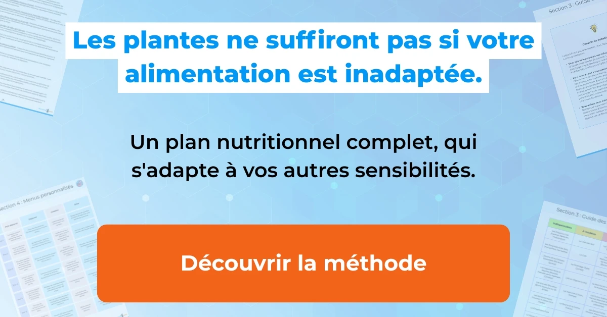 Plan nutritionnel avec tisane et infusion